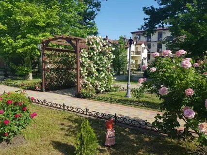 Платан резорт
