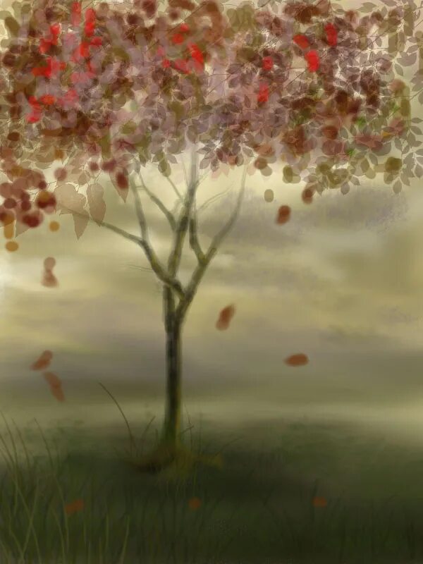Kate tree. Kate tree