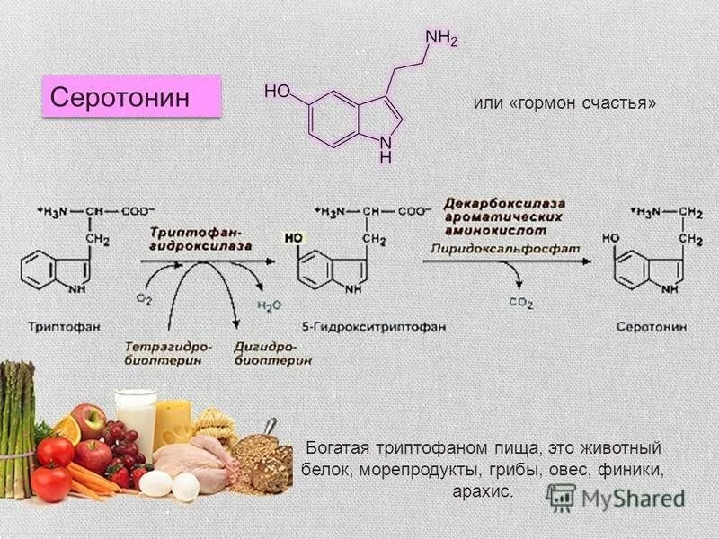 Триптофан в серотонин. Серотонин гормон счастья. Сладости это гормоны радости. Продукты вырабатывающие гормон счастья.