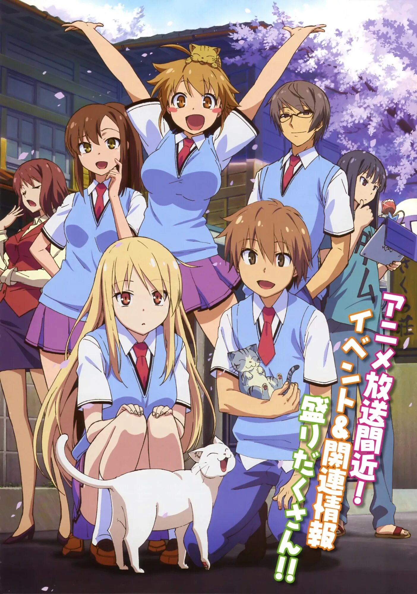 Кошечка Сакурасо. Антмекошечка из Сакурасо. Sakurasou no pet no kanojo