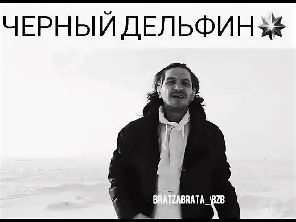 Песни про черных дельфинов. Гио пика. Гио пика Дельфин. Гео пика черный Дельфин. Гио пика чёрный.