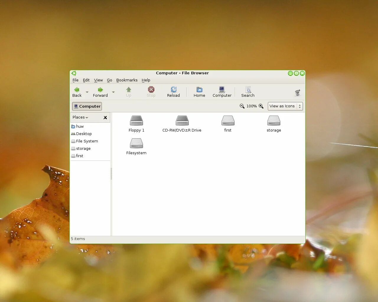 Красный мак цветок. Мак полевой. Фф мак. Фф мак. Поле красных цветов.