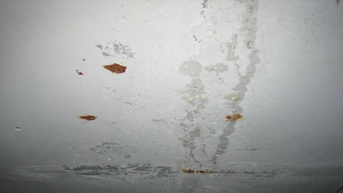 Пятна ржавчины. Ржавые пятна на окрашенной поверхности. Отслоение побелки на потолке. Ржавые пятна на штукатурке. Дефекты потолка.