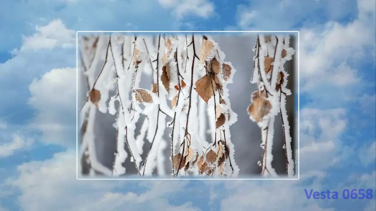 Песня белая береза в исполнении. Песня белая береза в исполнении. Белая берёза я тебя люблю ноты для баяна. Песня белая береза в исполнении. Песня белая береза в исполнении.