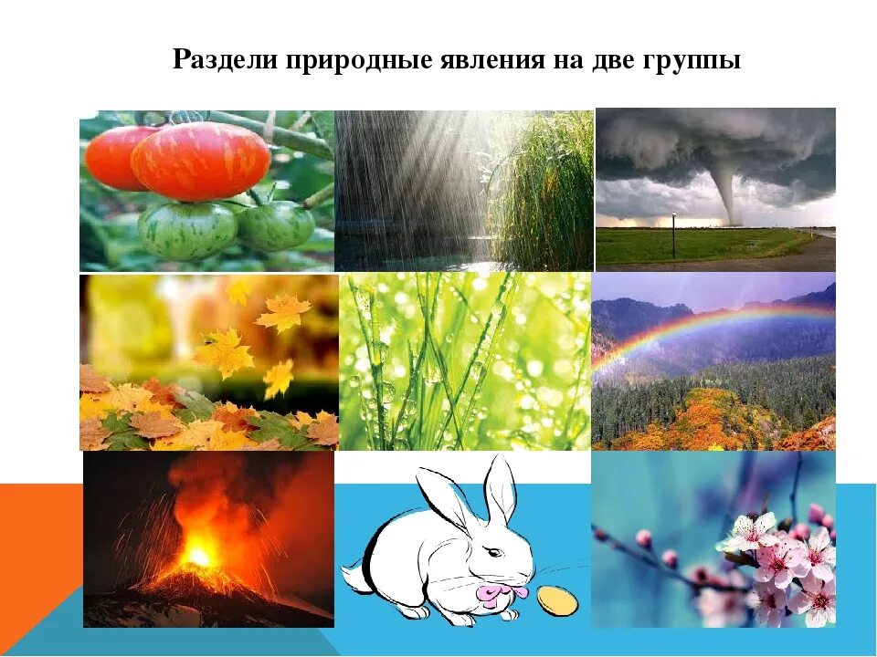 Неживая природа природные явления