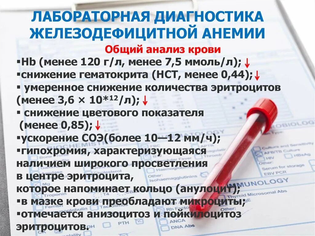 Показатели крови при железодефицитной анемии. Лабораторные исследования при железодефицитной анемии. Анализы прижелезнодефицитной анимии. Показатели анализов при железодефицитной анемии.