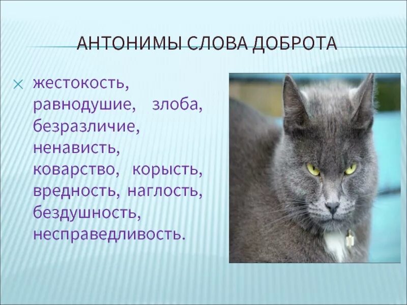 Противоположное слово добро. Антонимы к слову доброта. Доброта противоположное слово. Противоположность слову доброта это. До.рота противоположное слово.