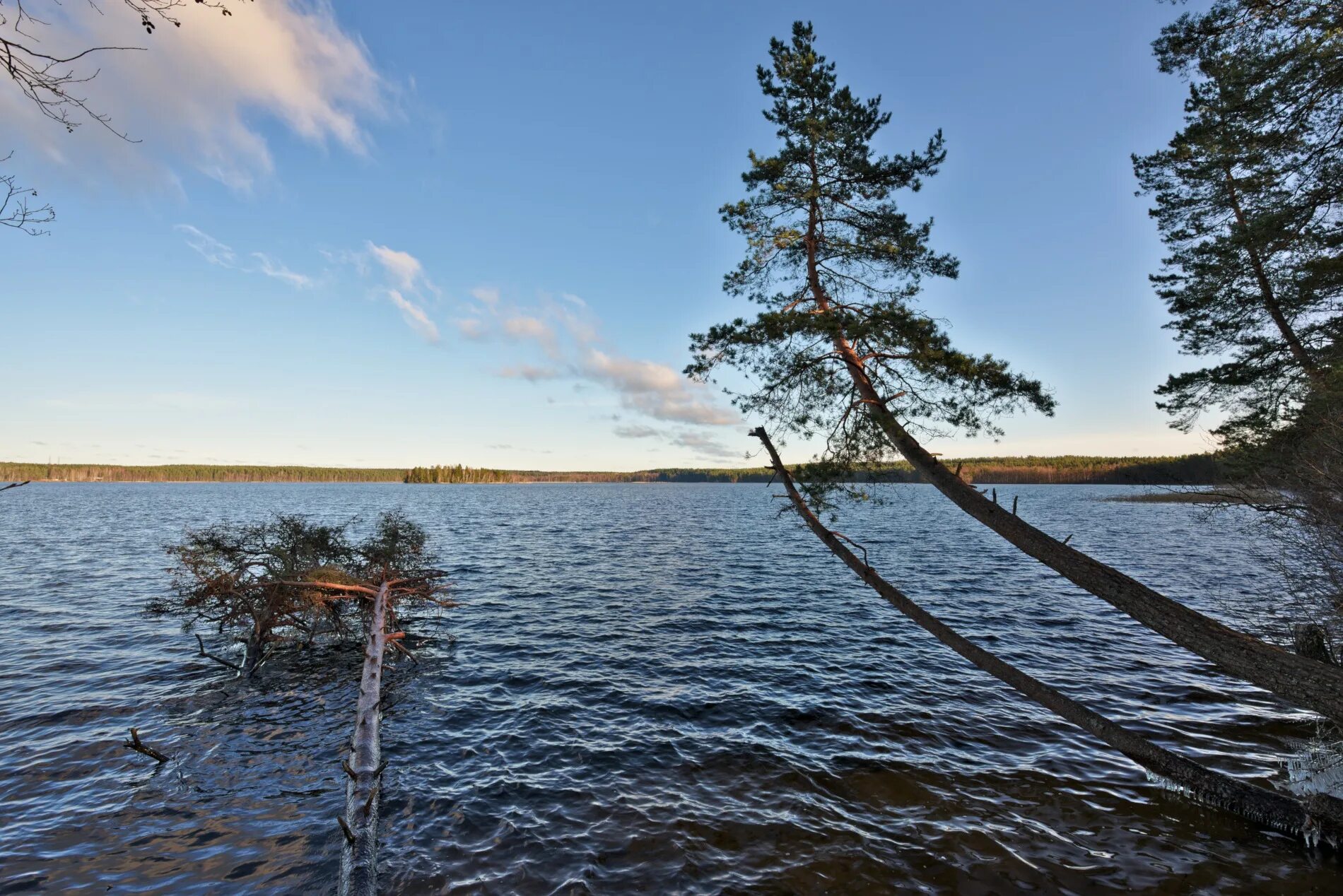 Озеро пяйянне финляндия. Финляндский зеркальный. Финляндский зеркальный. Оз зеркальное ленинградская область. Озеро штерн финляндия.
