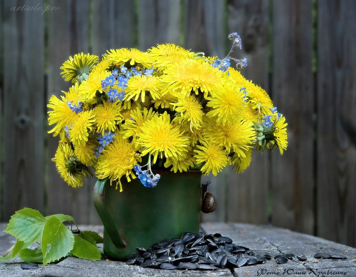 Bouquet of Dandelions in Woman Hand Stock Image - Image of meadow, fresh: 141589