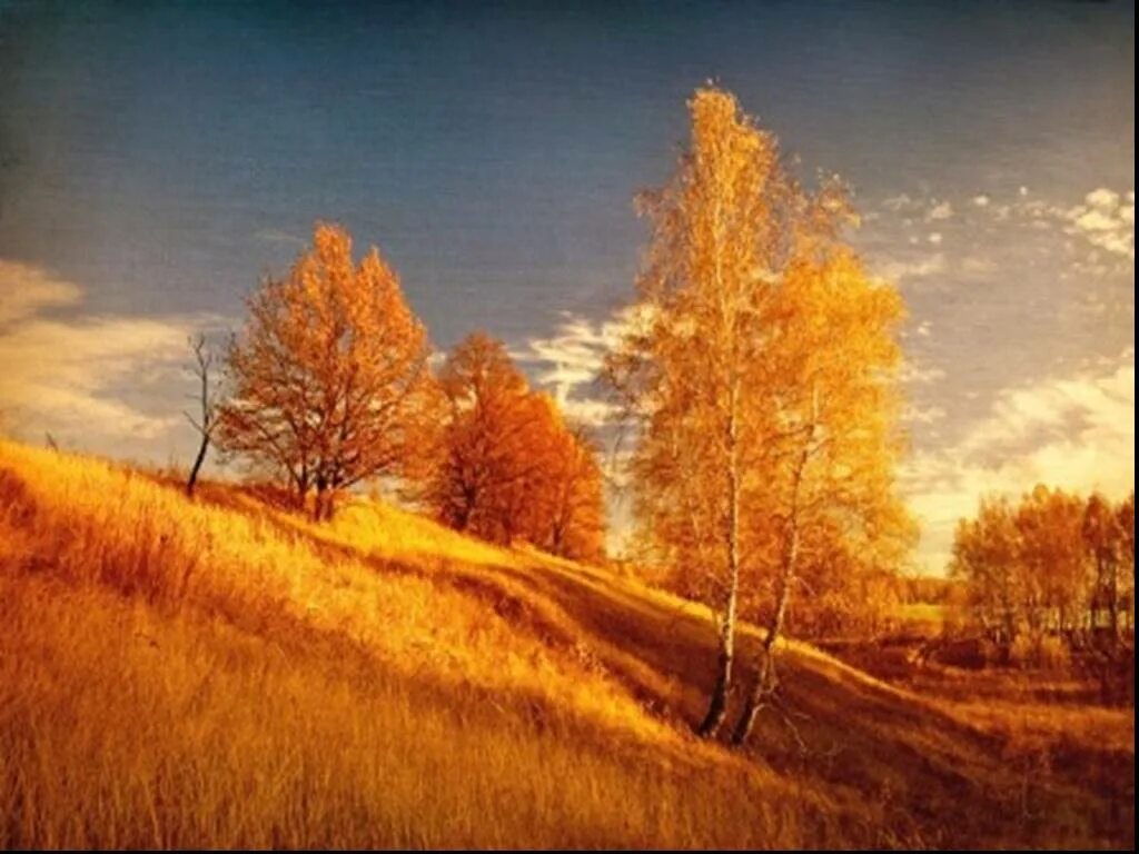 Какая теплая осень в этом году. Золотая осень. Фото осень Золотая. Золотистая осень. Яркие краски золотой осени.