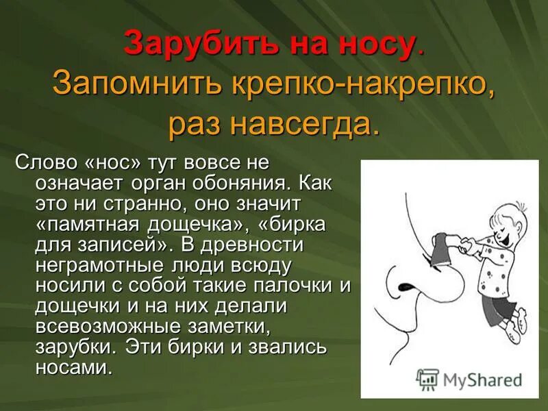 Выражение зарубить на носу. Фразеологизм зарубить на носу. Заруби на носу фразеологизм. Фразеологизм заруби себе на носу. Происхождение фразеологизма зарубить на носу.