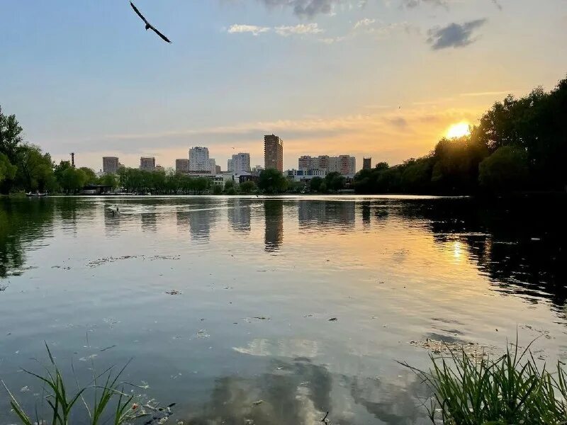 косино-ухтомский черное озеро. белое озеро косино. белое озеро косино лодочная станция. база отдыха дон хутор вертячий. косино-ухтомский черное озеро.