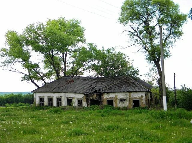 Братская моги ноборисовка. Деревня никитское. Село никитское белгородская область. Питомник село никитское. Байцуры белгородская.