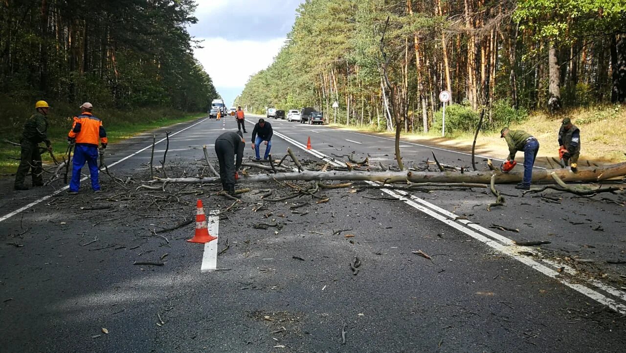 Придорожная полоса автодороги. Притрассовые дороги. Расчистка придорожной полосы от ДКР. Придорожная полоса автомобильной дороги это. Границах придорожных полос автомобильных дорог