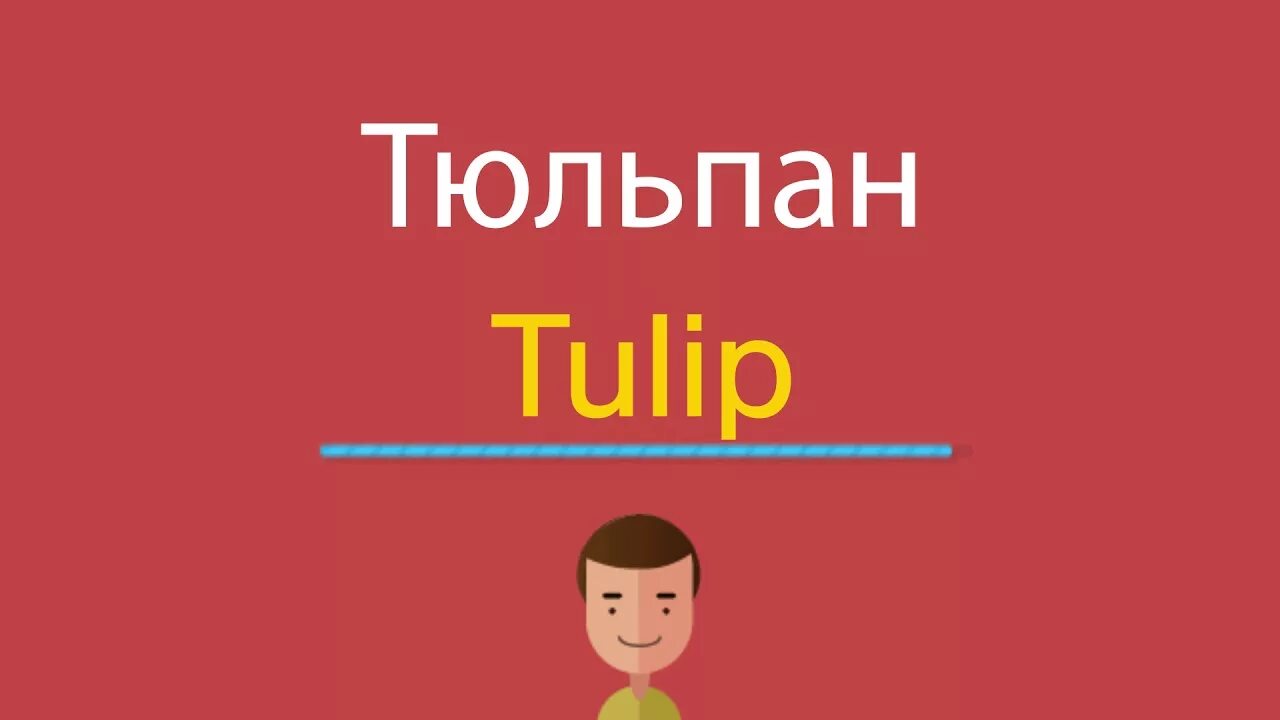 Тюльпан по английскому произношение. Пишется тюльпан по-английски. Tulip транскрипция. Tulip как произносится.