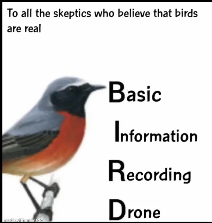 I a bird перевод. Birds aren't real. Birds arent real. Birds are real. Birds are real meme.