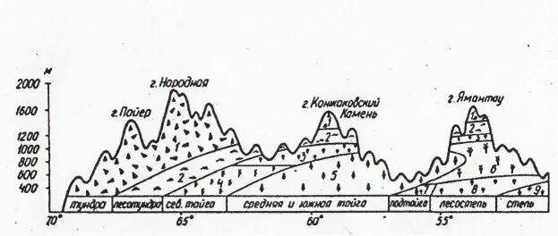 Уральские горы высотная поясность. Уральские горы Высотная поясность схема. Высотная поясность гор Урала. Высотная поясность уральских гор гор. Схема ВЫСОТНОЙ поясности уральских гор.