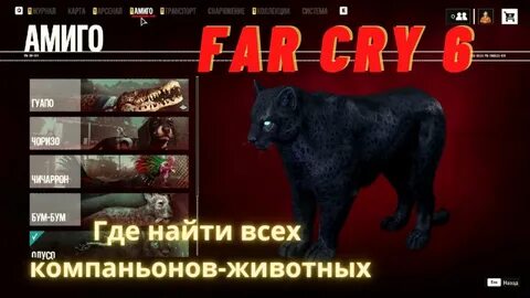 Бум бум фар край
