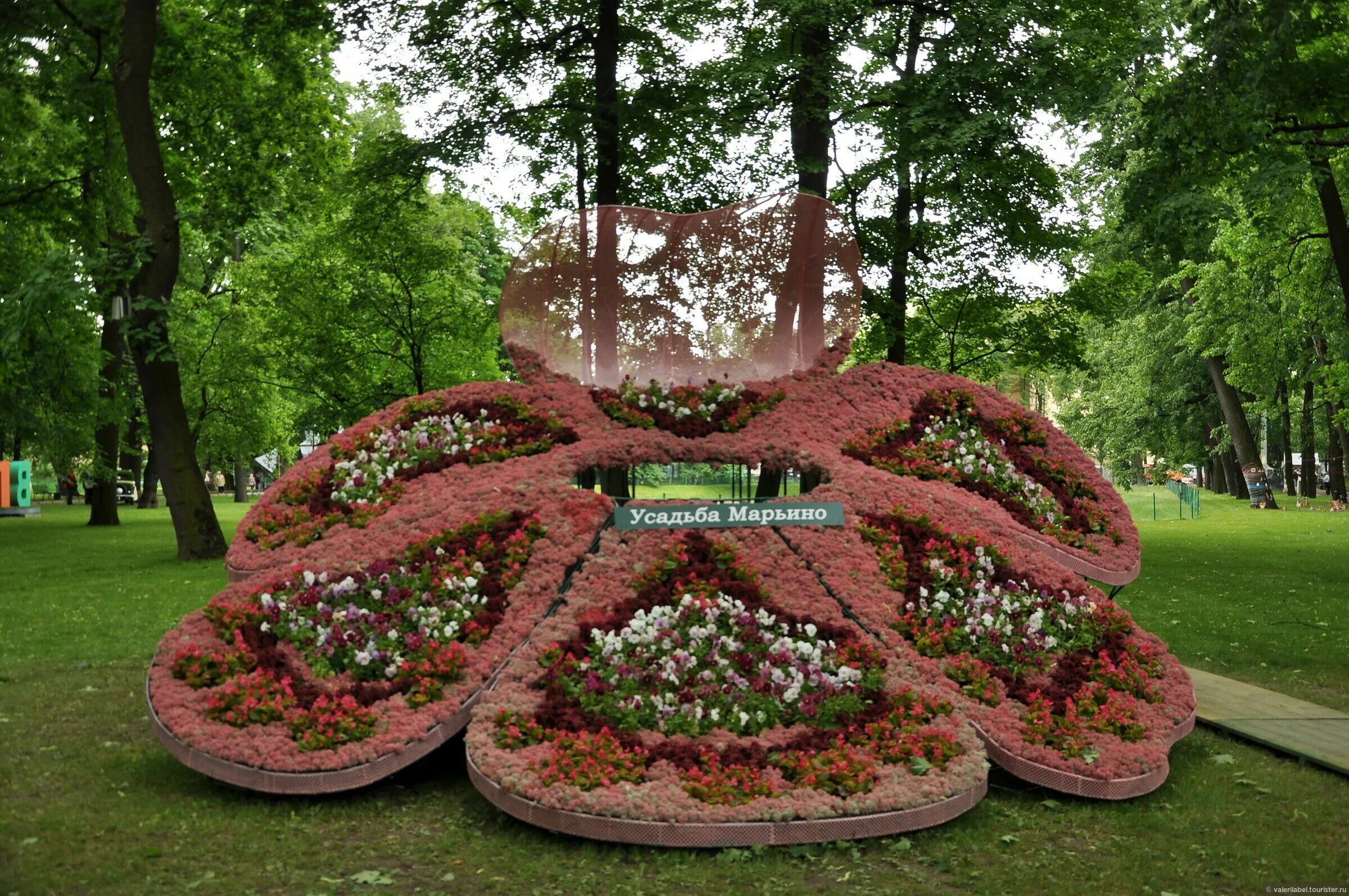 цветы марьино карене фото. цветы марьино. цветочный в марьино. цветы марьино. букет простоцветы цитрус l.