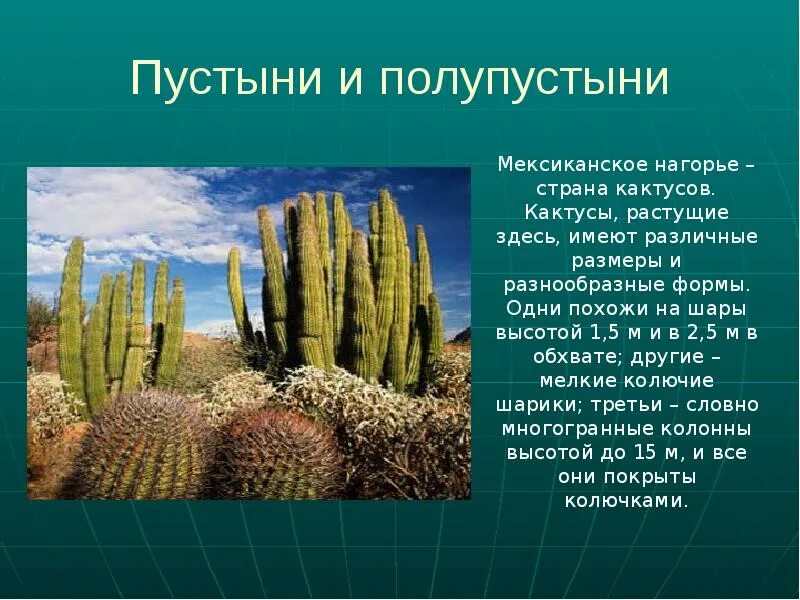 В каком климате растет
