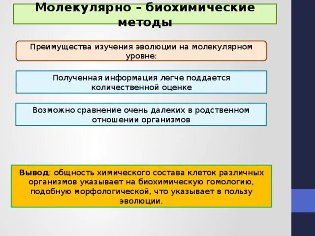 Биохимические методы эволюции. Методы исследования эволюции. Молекулярно биохимические методы изучения эволюции. Биохимический метод изучения эволюционного процесса. Группы изучения эволюции