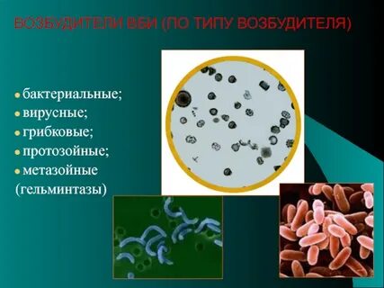 Возбудитель общий