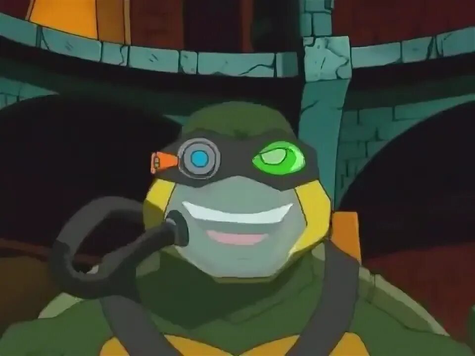 Lelebear turtle power shell