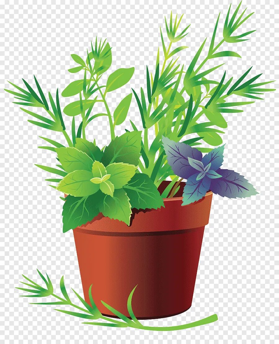 Pdf plant. Цветок в горшке. Цветок в горшке вектор. Векторный горшок с цветком. Векторные растения в горшках.