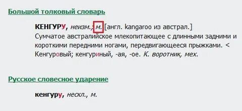 Слово кенгуру мужского рода