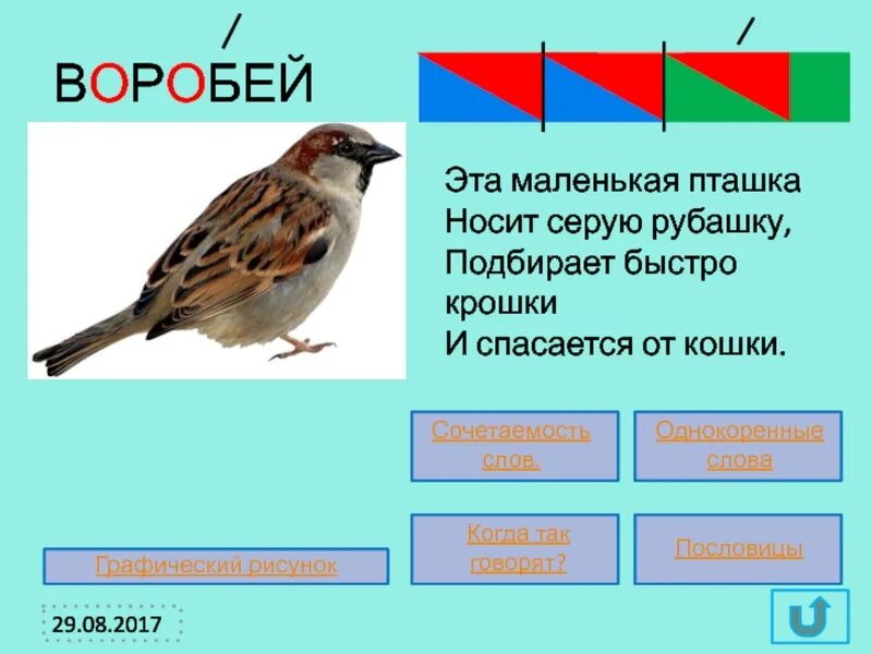 Воробей словарное слово. Воробей 1 класс. Словарная работа Воробей. Воробей запомнить. Слово воробьи сколько букв и звуков