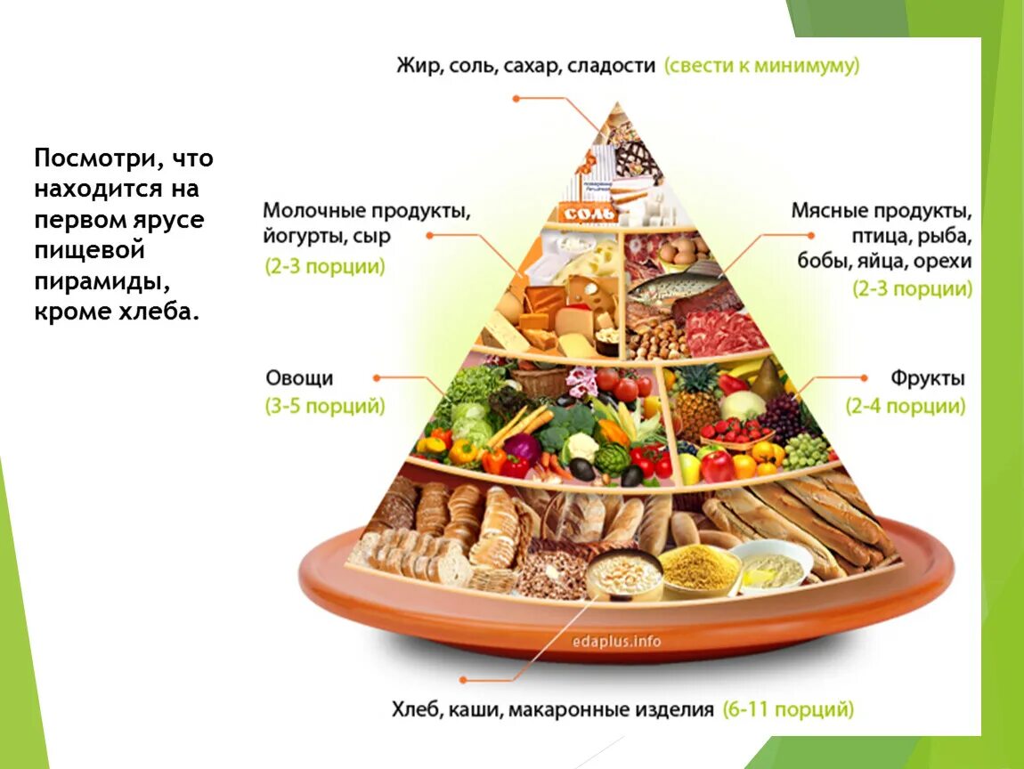 Укажите уровни пищевой пирамиды начиная с продуктов. Пирамида питания здорового человека в процентах. Пищевая пирамида Уолтера виллетта. Пирамида питания здорового человека Гарвардская. Пиармиад питания.