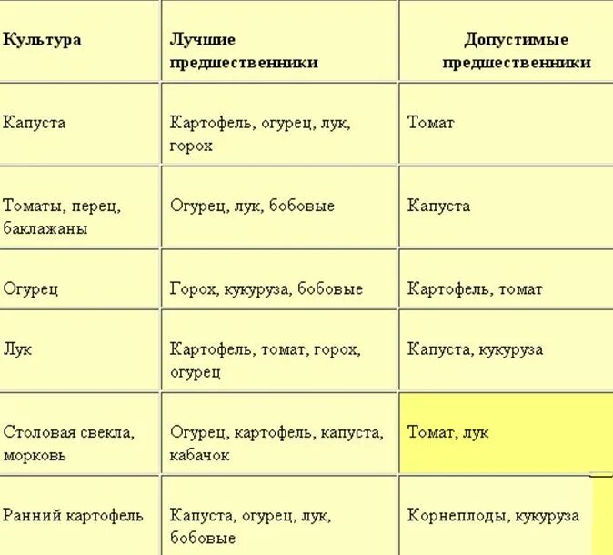 Можно ли сажать помидоры после клубники. Можно ли садить лук после моркови на следующий год таблица. лучшие предшественники для посадки овощей таблица. после чего сажать лук. после чего сажать лук и морковь.