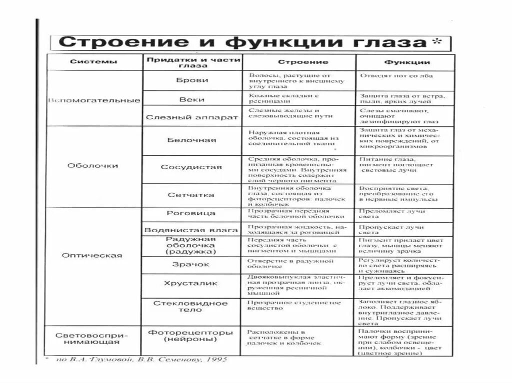 Таблица строение глаза 8 класс биология. Строение зрительного анализатора таблица. Таблица зрительный анализатор 8 класс. Зрительный анализатор строение и функции таблица. Зрительный анализатор таблица 8 класс биология.