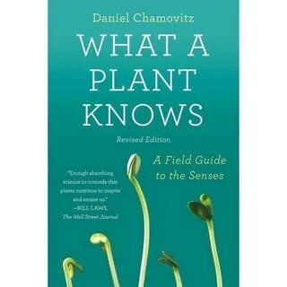 The knowing field