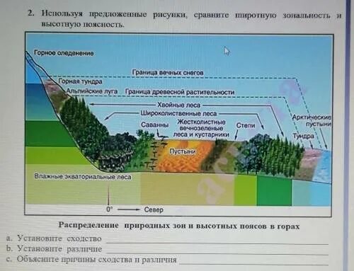 Объясните различия между границами урала. Сходства Широтной зональности и ВЫСОТНОЙ поясности. Сравните Широтную зональность и высотную поясность. Широтная зональность и Высотная поясность. Сходства и различия Широтной зональности и ВЫСОТНОЙ поясности.