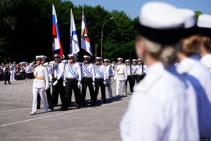 Офицеры новый. Женщины ВМФ В Калининграде. Фото офицера ВМФ Калининград. Военные морфлот на плацу принимают поздравления.