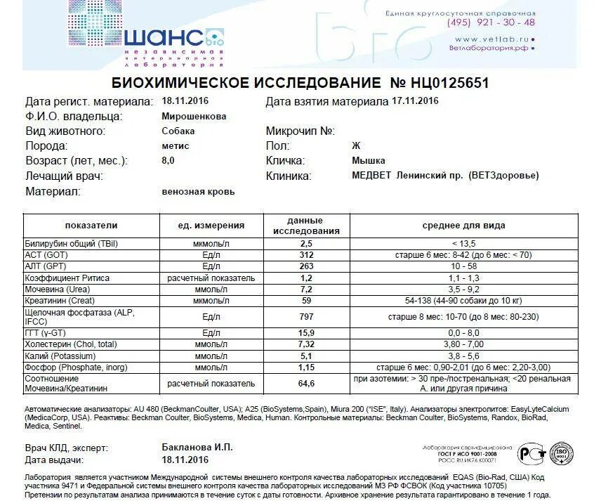 Лептоспироз анализ крови. Общий анализ крови при лептоспирозе. Лептоспироз биохимия крови. Сопроводительная на пробы крови Ветеринария. Повышенная щелочная фосфатаза у собак причины