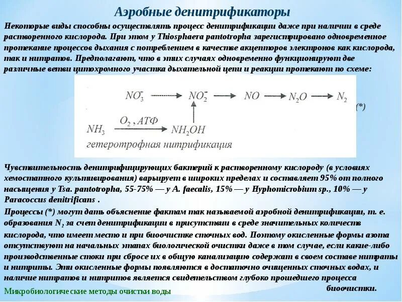 Денитрификация и нитрификация сточных вод в аэротенке. Нитрификация очистка сточных вод. Денитрификатор в очистке сточных вод. Денитрификация схема. Отношение кислорода к воде