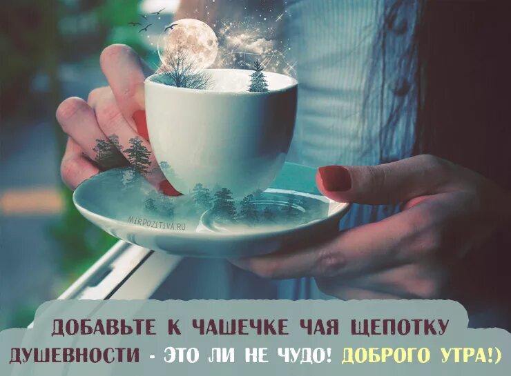 Доброе утро картинки позитивные со смыслом жизни. Доброе утро картинки позитивные со смыслом жизни