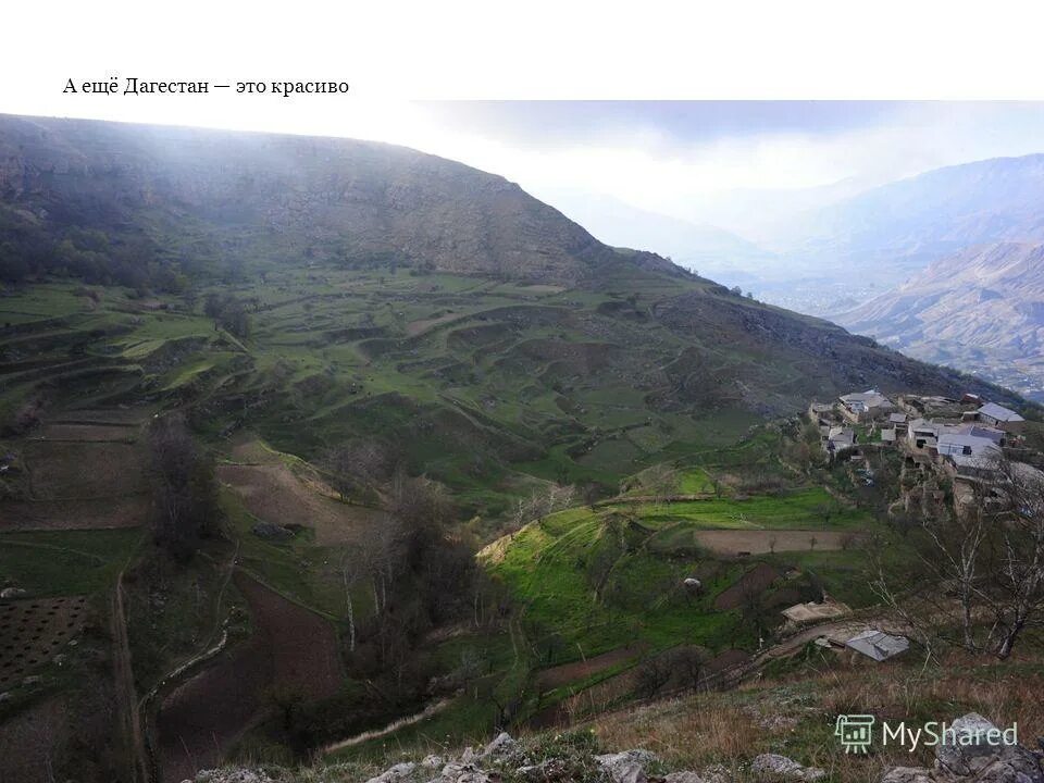дагестан в конце апреля. экскурсии в дагестан в апреле. отдых в дагестане в апреле. дагестан в апреле фото. отдых в дагестане в апреле.