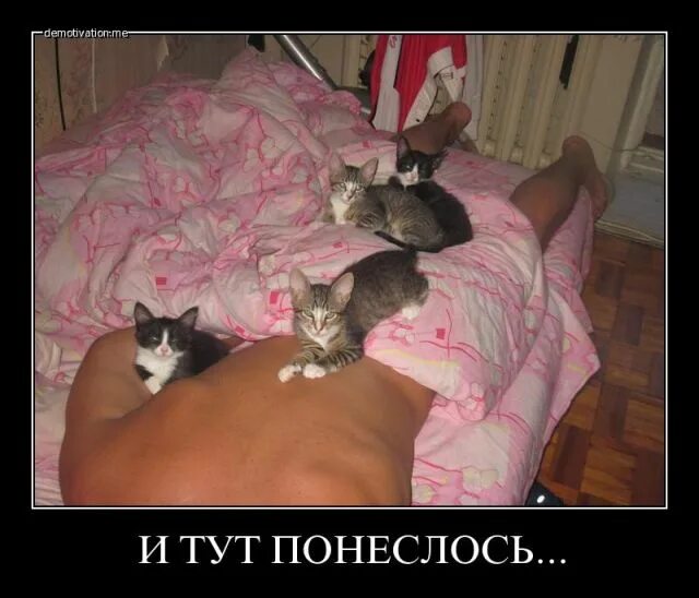 Кто в доме хозяин передача. Кто в доме хозяин вопрос. Хозяин в доме. Я в доме хозяин мем. Кто в доме хозяин вопрос.