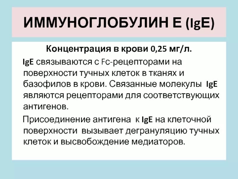 Иммуноглобулин е что делает