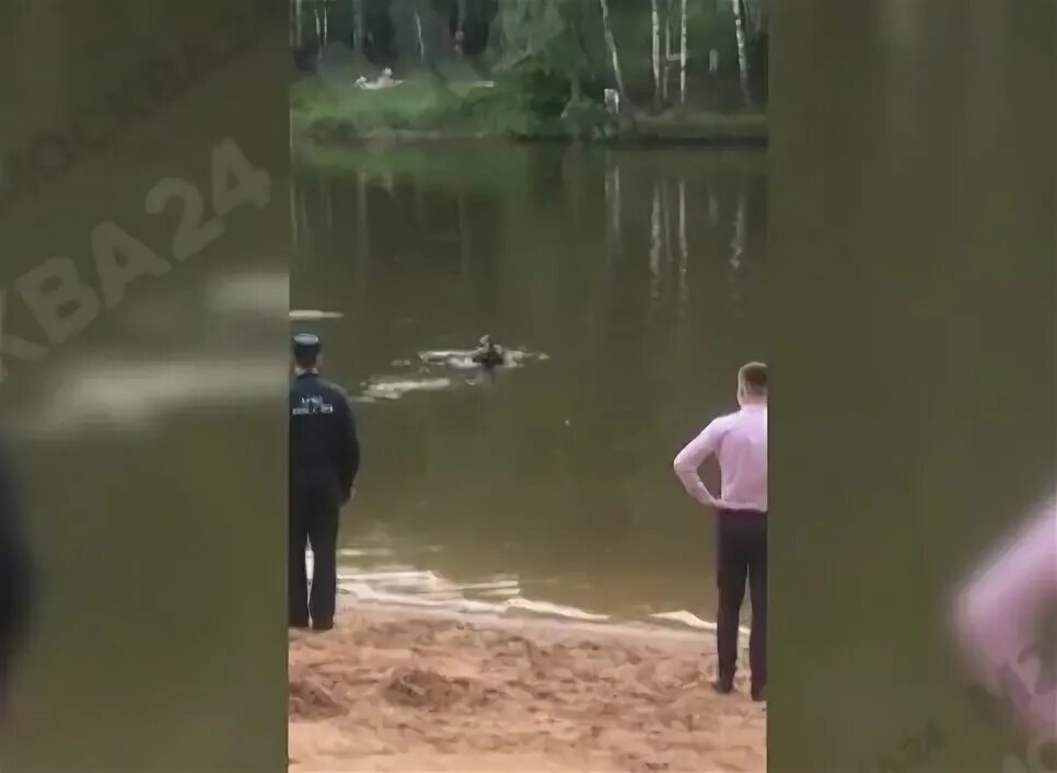 Случайно утонул. Утоп в Московском пруду. Девушка утопилась в пруду. В Тропарево утонул человек.