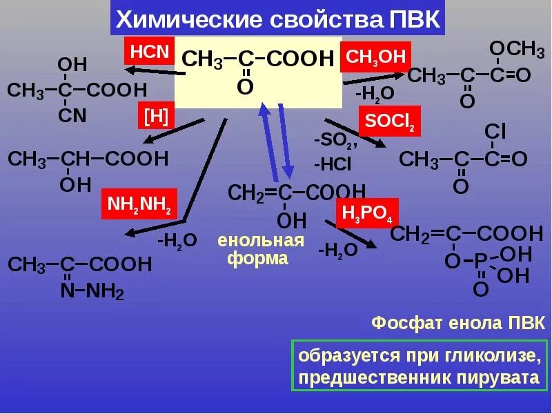 Zn oh 2 ch3cooh. Пировиноградная кислота с socl2. Пировиноградная кислота nh2-nh2. ПВК химические свойства. Пировиноградная кислота реакции.