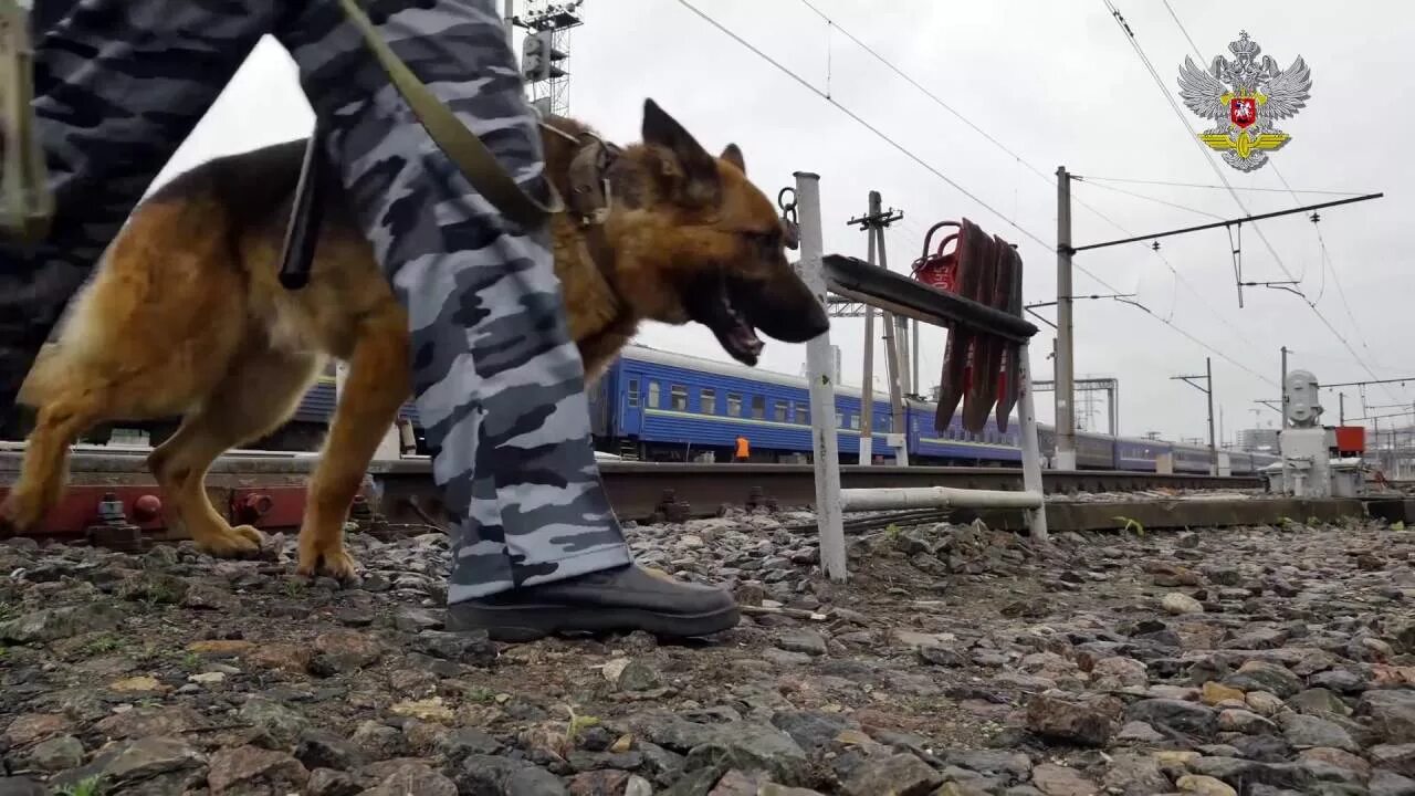 Охрана жд транспорта. Ведомственная охрана ЖД транспорта. Охрана ЖДТ России. Ведомственная (военизированная) охрана железнодорожного транспорта. Ведомственная охрана ЖДТ России.