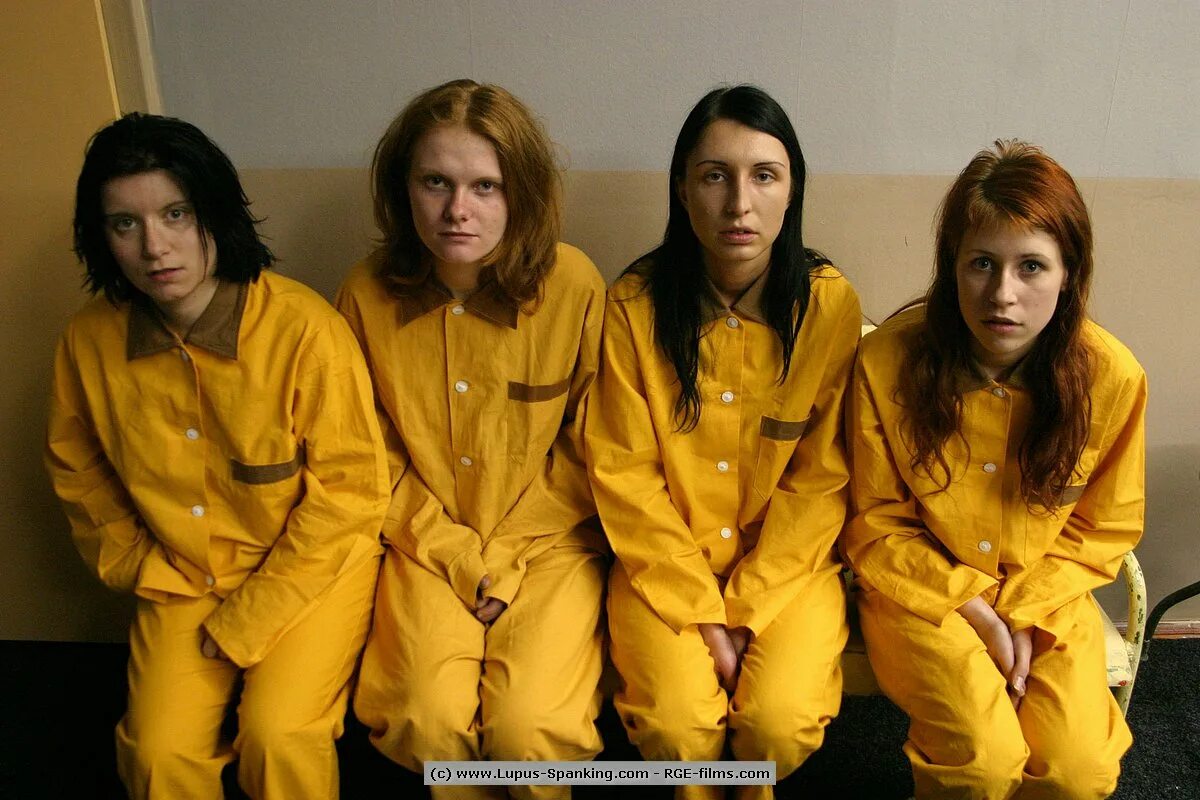 Студия лупус. Студия лупус. Киностудия люпус чехия. Студия лупус. Barbados lupus rex art.