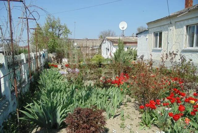 город белогорск медицинский центр авиценна. садовая 26 белогорск амурская. авиакасса телефонный номер. зеленая 10 курган. отель малина белогорск.