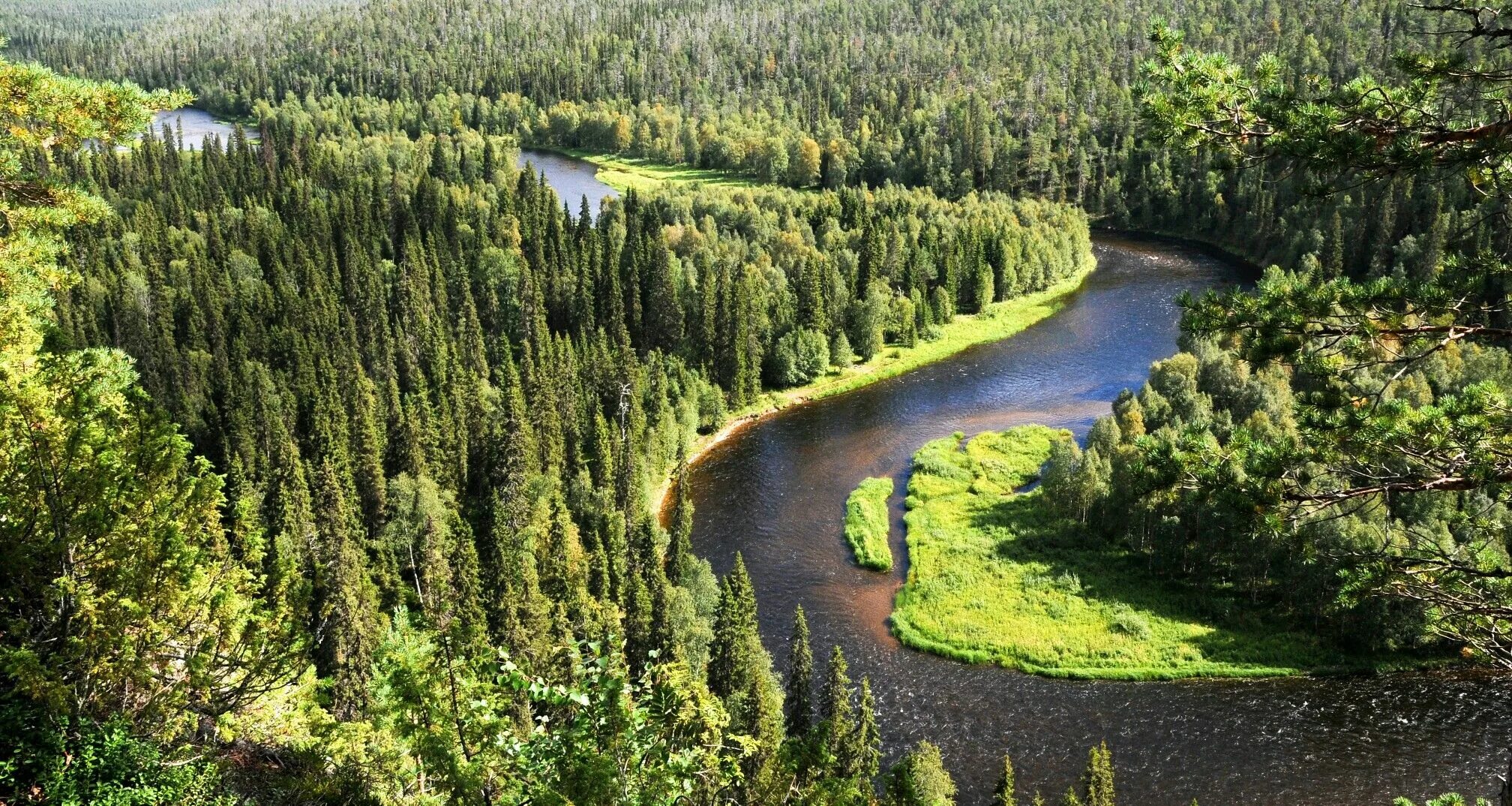 Растительные ресурсы тайги. Национальный парк Оуланка. Нац парки Финляндии. Финляндия парк Оуланка достопримечательности. Национальный парк Нууксио Финляндия.