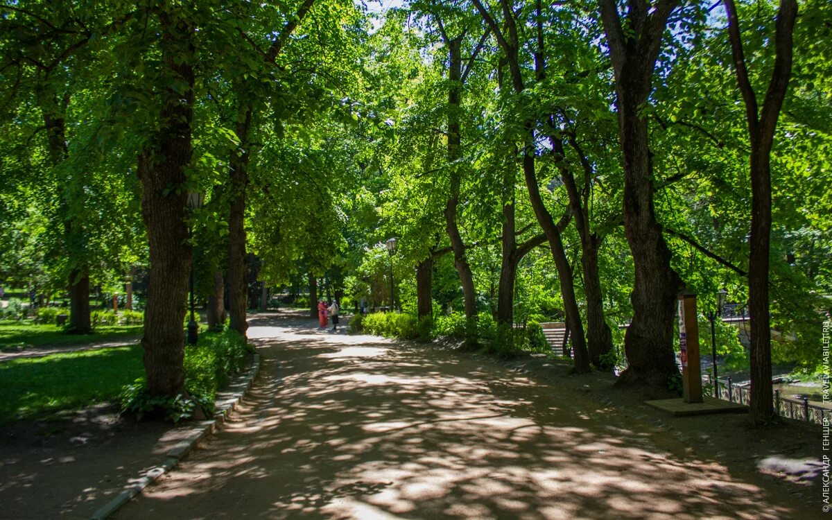 Терренкур кисловодск. Кисловодск терренкур парк. парк терренкур владикавказ. терренкуры. кисловодский курортный парк. терренкур 1 в кисловодске.