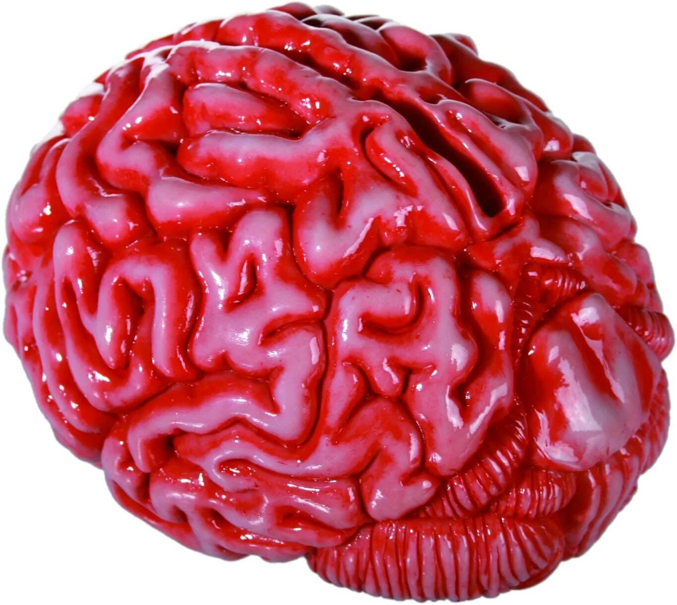 Zombie brain. Мозг копилка. Подарок в виде мозга.